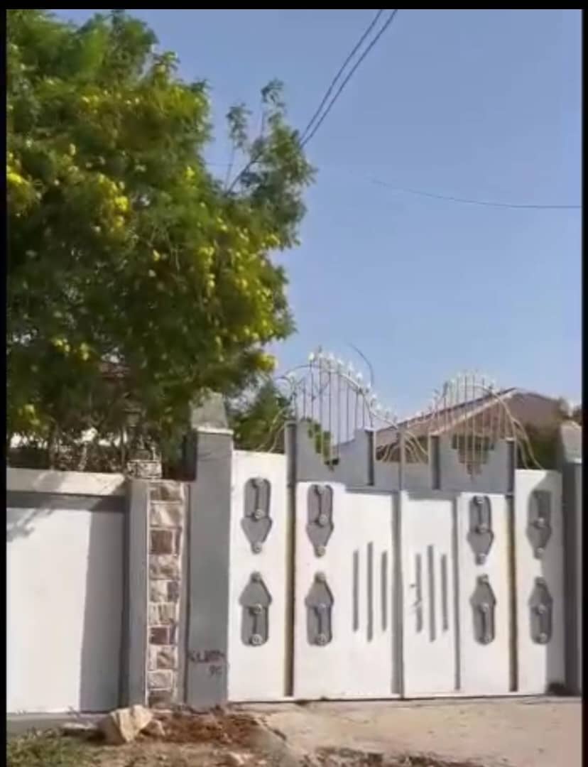 guri kiro GKR(000117)